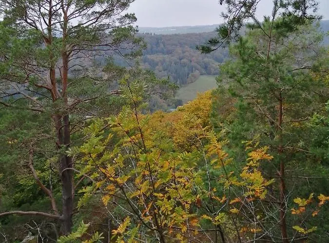 农场住宿加早餐旅馆