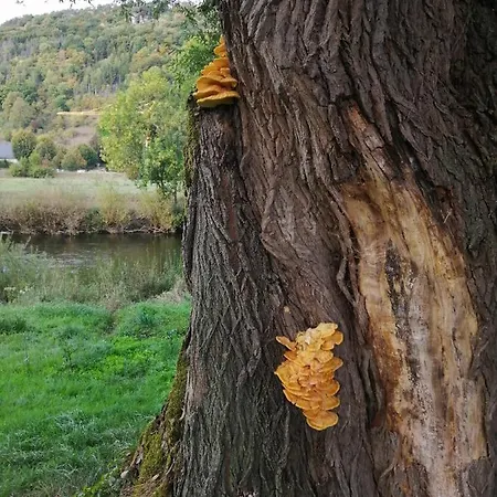 De Boerderij 3*