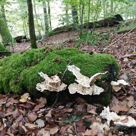 De Boerderij Bed & Breakfast 3*