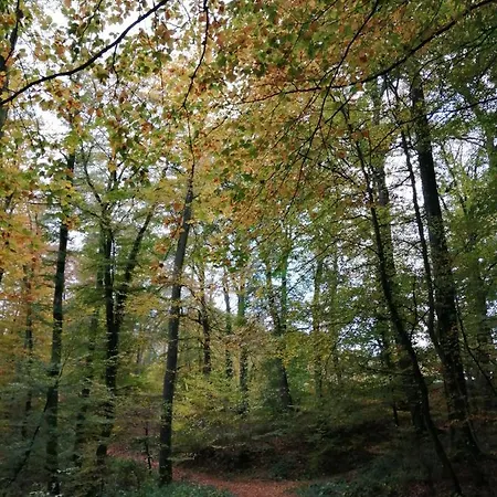 De Boerderij Nocleg ze śniadaniem 3*