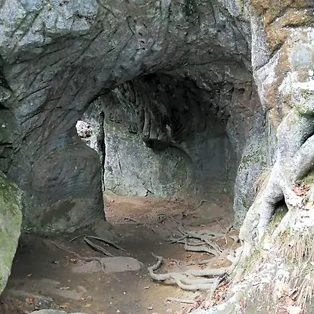 De Boerderij 3*
