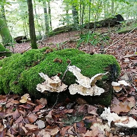 De Boerderij 3* Berdorf