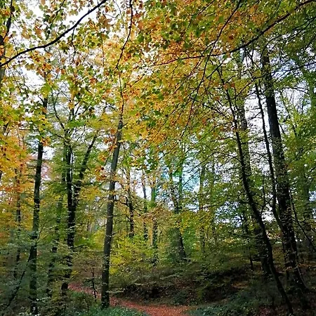 De Boerderij Berdorf