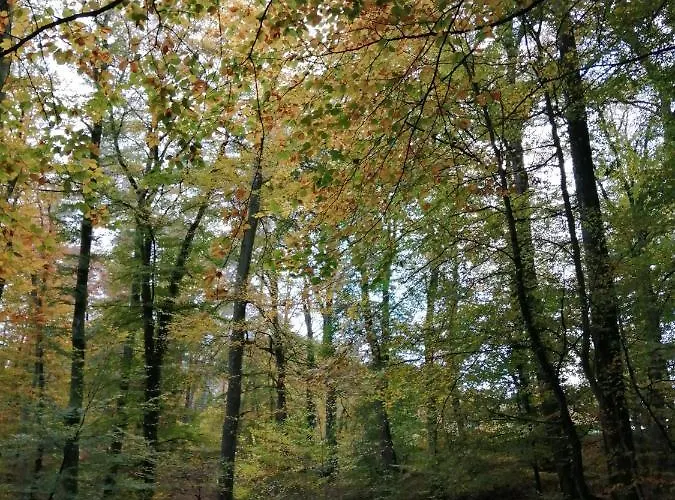 De Boerderij Oda ve Kahvaltı 3*