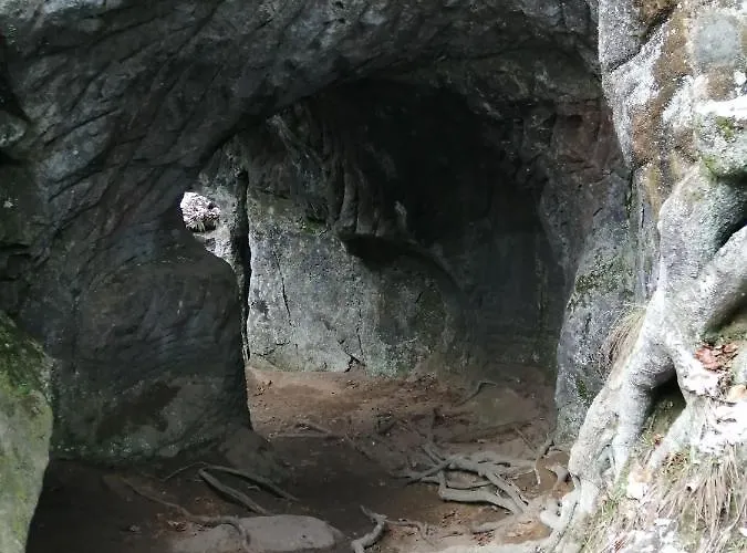 De Boerderij Oda ve Kahvaltı